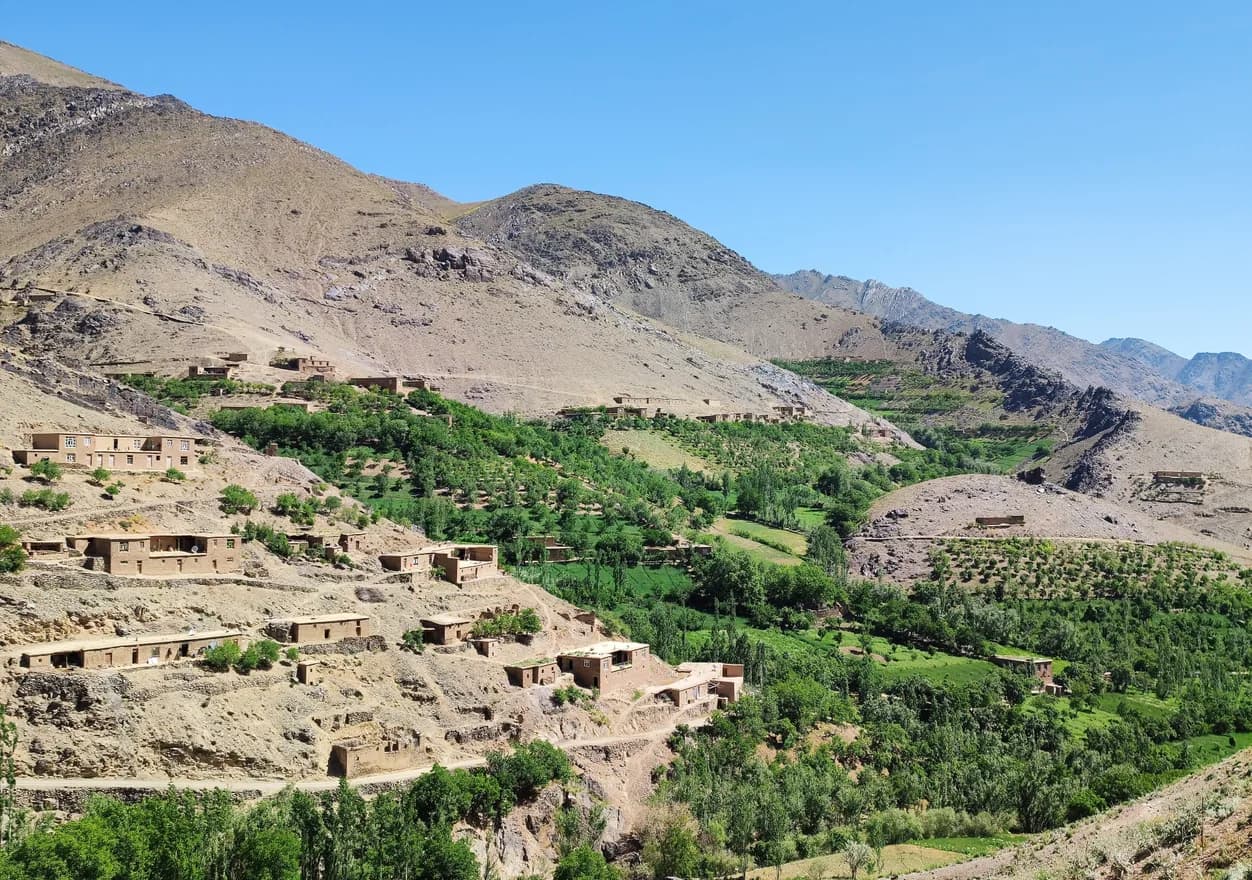 Terraced fields and a green valley in Asho, Alawdal, Shahristan district, Daykundi