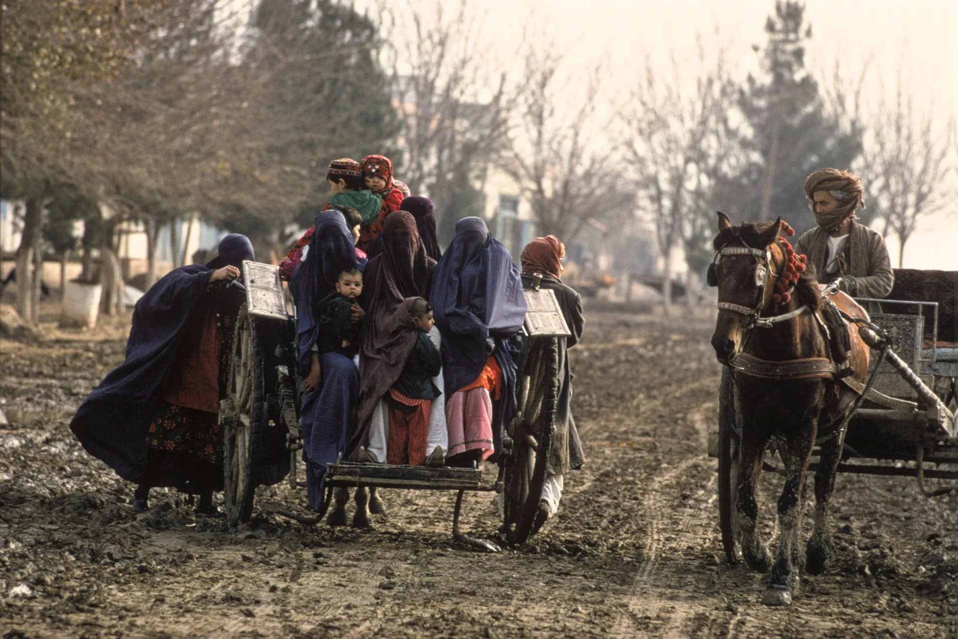 A family riding in a horse-drawn gadi cart along a tree-lined road in Aqcha, Jawzjan, photographed by Herbert Maeder in 1968