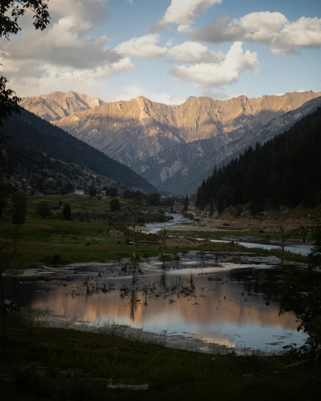 Nature & Landscapes image