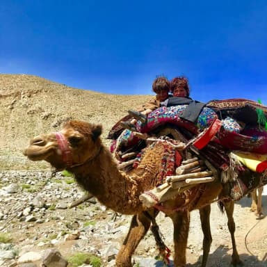 A camel caravan in Adraskan, Herat