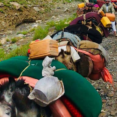 A laden donkey on a rural route in Adraskan