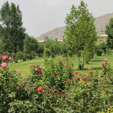 Spring greenery and roses in the Gardens of Babur