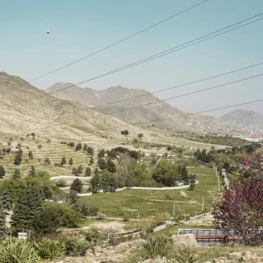 Summer greenery near Qargha Reservoir