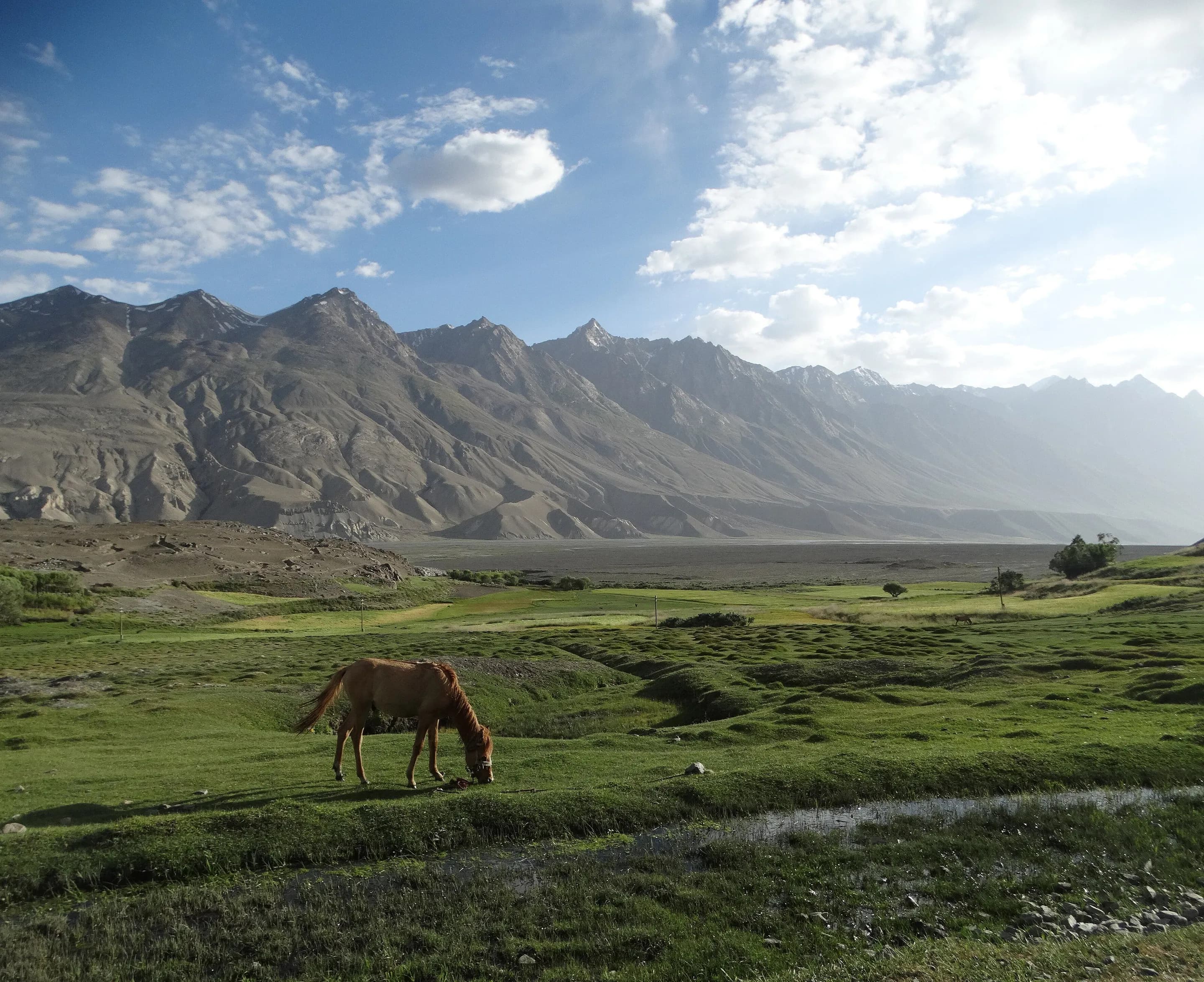 A horse grazing on green pasture below the mountains at Sarhad-e Broghil, Wakhan, Badakhshan, 2019