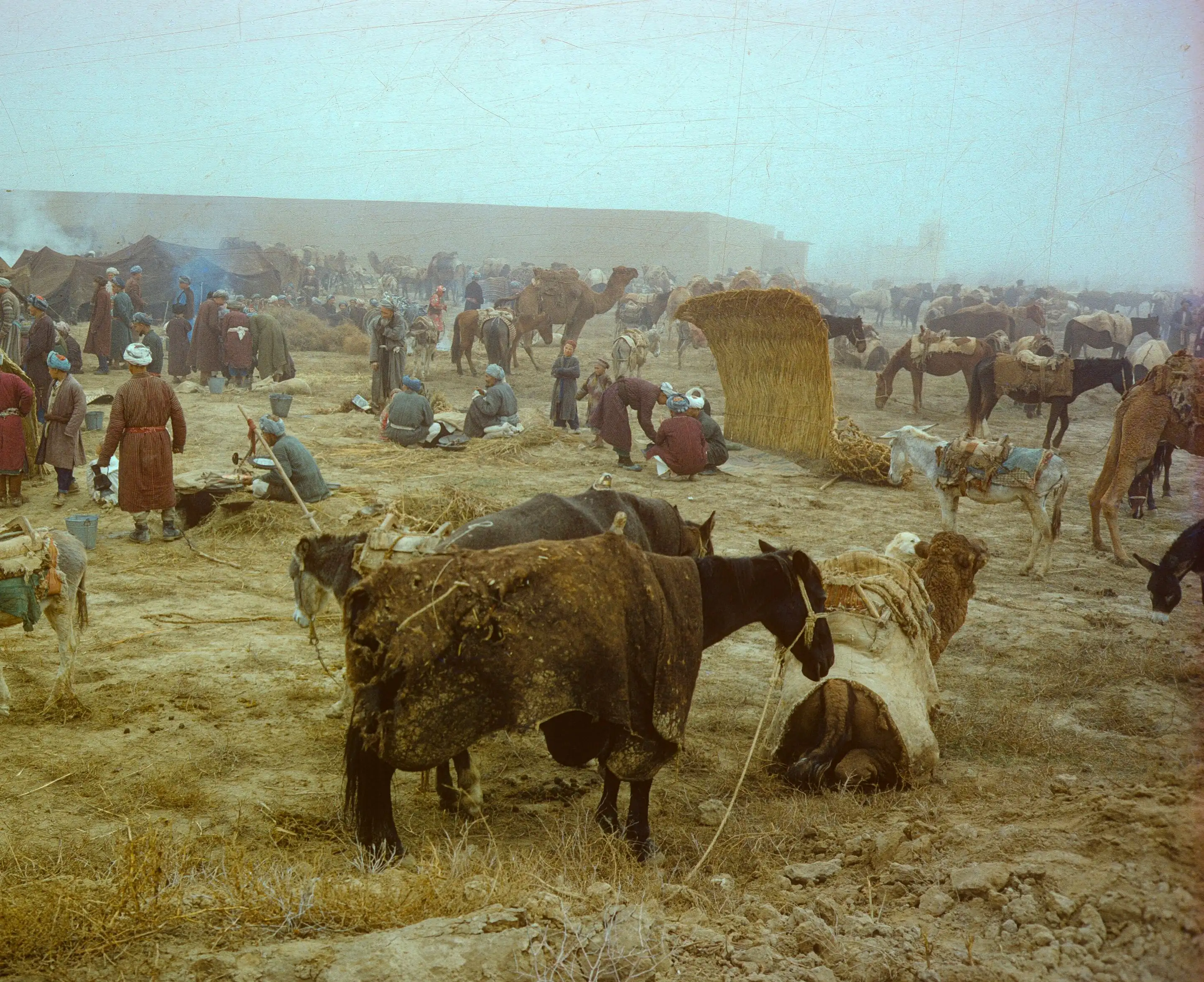 A Turkmen nomad tent camp near the Afghanistan–Turkmenistan border in northern Afghanistan, 1970s