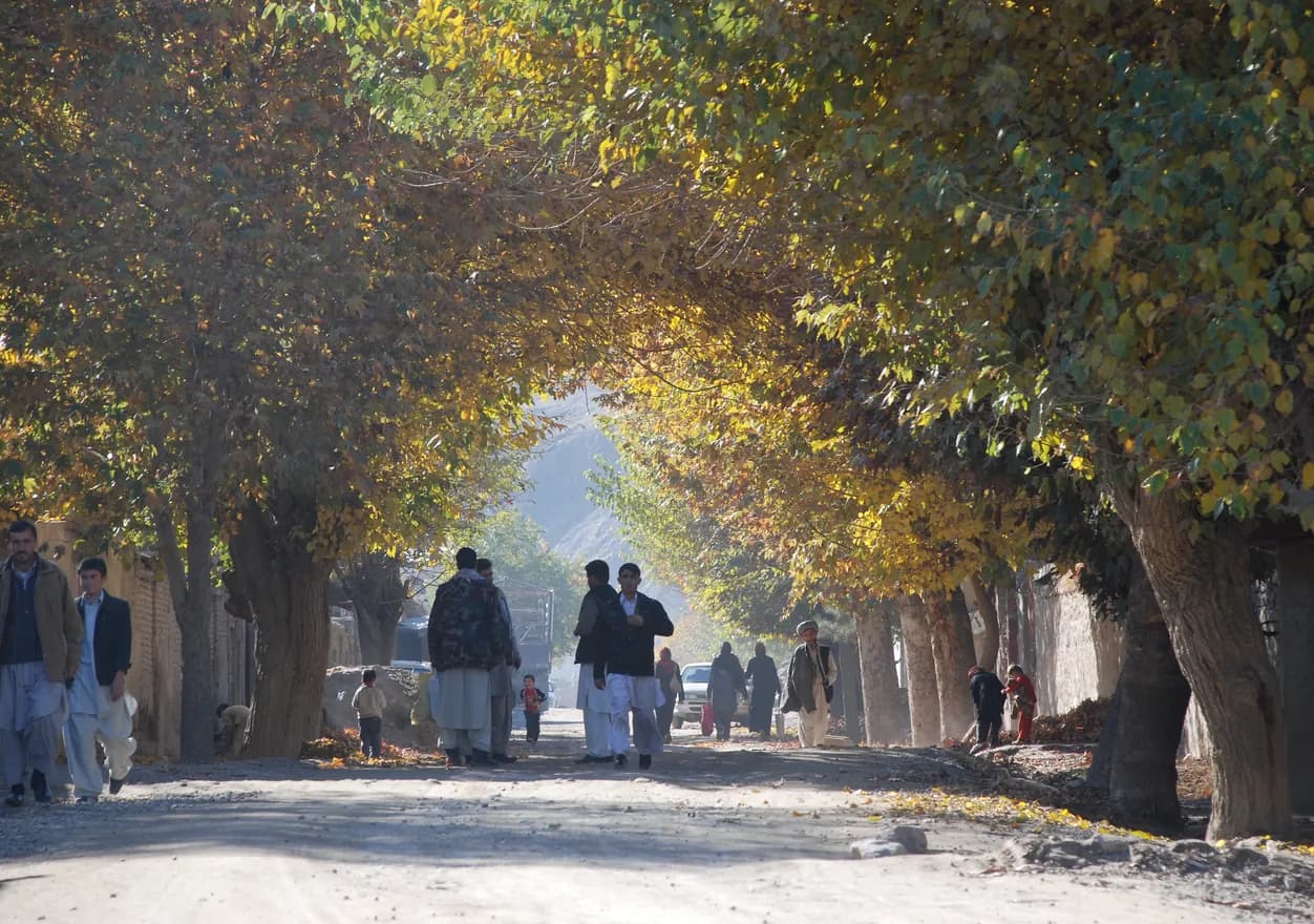 People walking along a tree-lined avenue in Faizabad, Badakhshan
