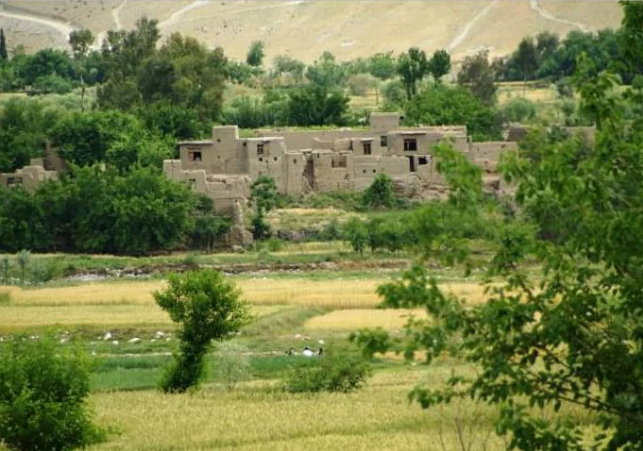 Mud-brick houses among fields and trees at Qalacha in the Laghman valley